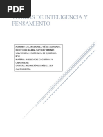 Teorías de Inteligencia y Pensamiento