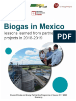 Lessons Learned From Biogas Partnership in Mexico 2019