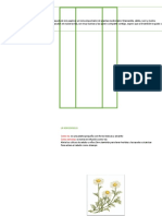 Triptico Plantas Medicinales