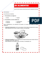 Clasificación de Los Alimentos Actividades