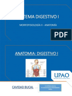 Semana 13 - Digestivo I - Sanchez Fernandez Walter Wilfredo