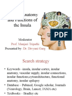 Clinical Anatomy and Functions of Insula