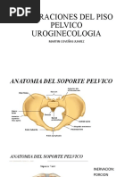 Alteraciones Del Piso Pelvico