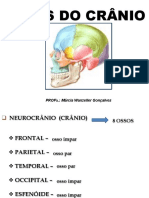 OSSOS DO CRANIO e FORAMES