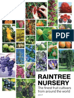 2017 Raintree Nursery Catalog