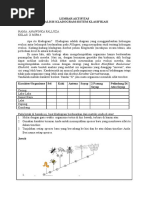 (Template) LKPD Klasifikasi