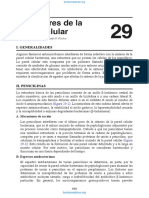 INHIBIDORES DE LA PARED CELULAR-fusionado-fusionado