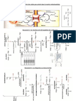 TSTL - Bioch.cours .Chap.4.Metabolisme.v.documents