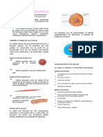 Biologia La Celula 4 Primaria