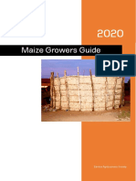 Maize Growers Guide: Zambia Agribusiness Society