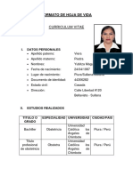 Formato de Hoja de Vida: Curriculum Vitae