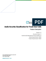 Audio Security Classification For Trunk User Calls: Feature Description