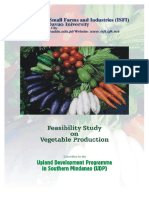 24 Feasibility Study On Vegetable Production