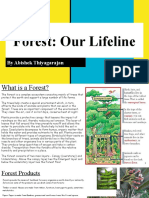 Forest: Our Lifeline: by Abishek Thiyagarajan