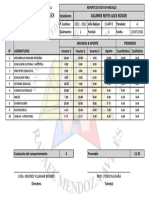 RPT Cal Doc Parciales Reporte