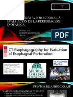 Protocolo Perforacion Esofagica