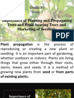 Grade VI Week 1: Importance of Planting and Propagating Trees and Fruit-Bearing Trees and Marketing of Seedlings