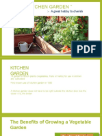 Kitchen Garden