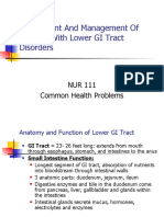 Assessment and Management of Patients With Lower GI Tract Disorders