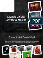 Aula 1 - Mitose & Meiose