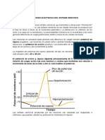 PROPIEDADES ELÉCTRICAS DEL SISTEMA NERVIOSO - Notas de Clase