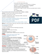 DIVISÃO CELULAR Esquema