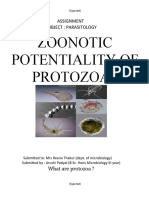 Zoonotic Potentiality of Protozoa: Assignment Subject: Parasitology