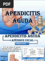 APENDICITIS Páginas 2 15