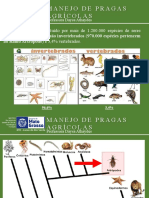 Aula Manejo de Pragas