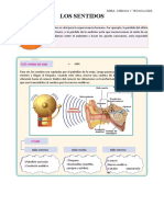 Sentido Del Oìdo 6to A - Mayo