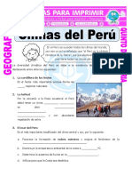 Climas Del Perú para Quinto de Primaria