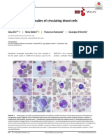 Morphological Anomalies of Circulating Blood Cells