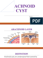 Arachnoid Cyst