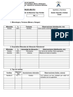 FORMATO DESCRIPCION MUESTRAS (GE-701) Porfidos - ZARATE