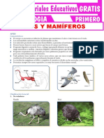 Aves y Mamíferos para Primero Grado de Secundaria