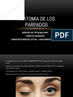 Anatomia Palpebral