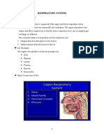 RESPIRATORY SYSTEM Anju 