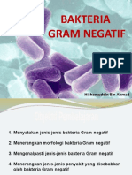 A 2.1.bakteria Gram Negatif