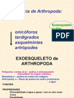 Arthropoda 1 Resumo (Modo de Compatibilidade)