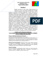 Carta Organica San Vicente Provincia de Misiones