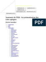 Anatomie de L'oeil - Systématisation Des Voies Optiques