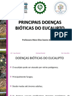 Principais Doenças Bióticas Do Eucalipto