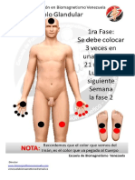 Biomagnetismo Puntos en Tres Etapas para Bajar de Peso Con Biomagnetismo