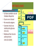 Catabolismo y Anabolismo