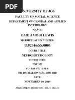 Lewis Amobi Ezie Neuropsychology Assignment-Split Brain