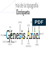 Anatomia Tipografia