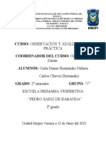 Formato de Protocolo de Observacion