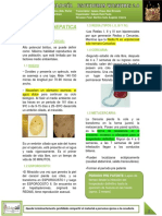 r1 - t014 Fasciola Hepatica 2