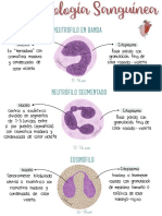 Citomorfología Sanguínea 2