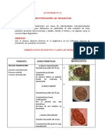 Jamely Hirhuay Fernandez - InFORME de HELMINTOS